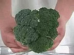 Сравните очищенную Средством для обработки овощей и фруктов СанСмайл половинку брокколи с неочищенной